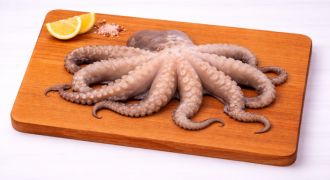 Octopus